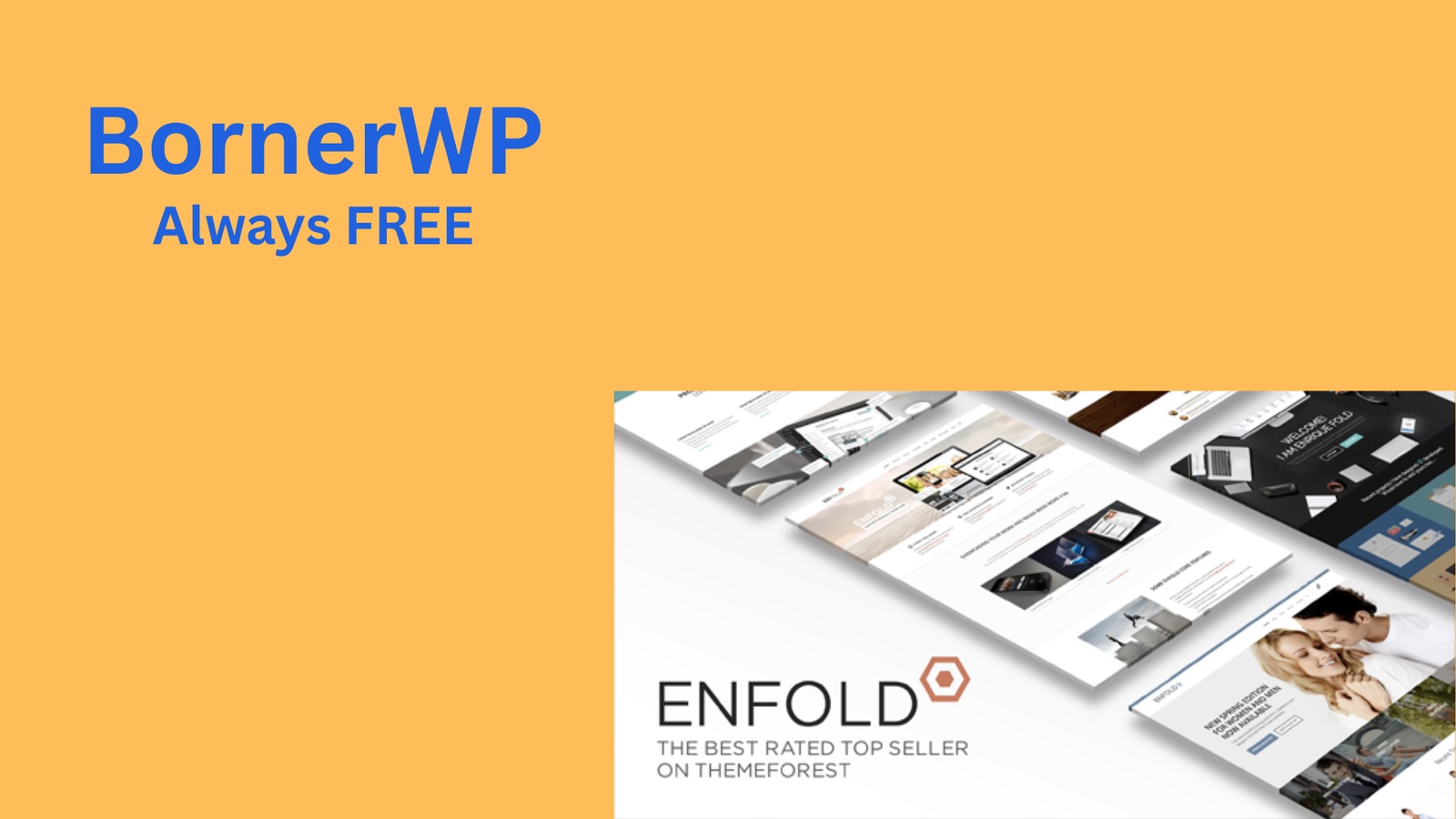 Enfold Responsive Multi-Purpose Theme (Free Download)